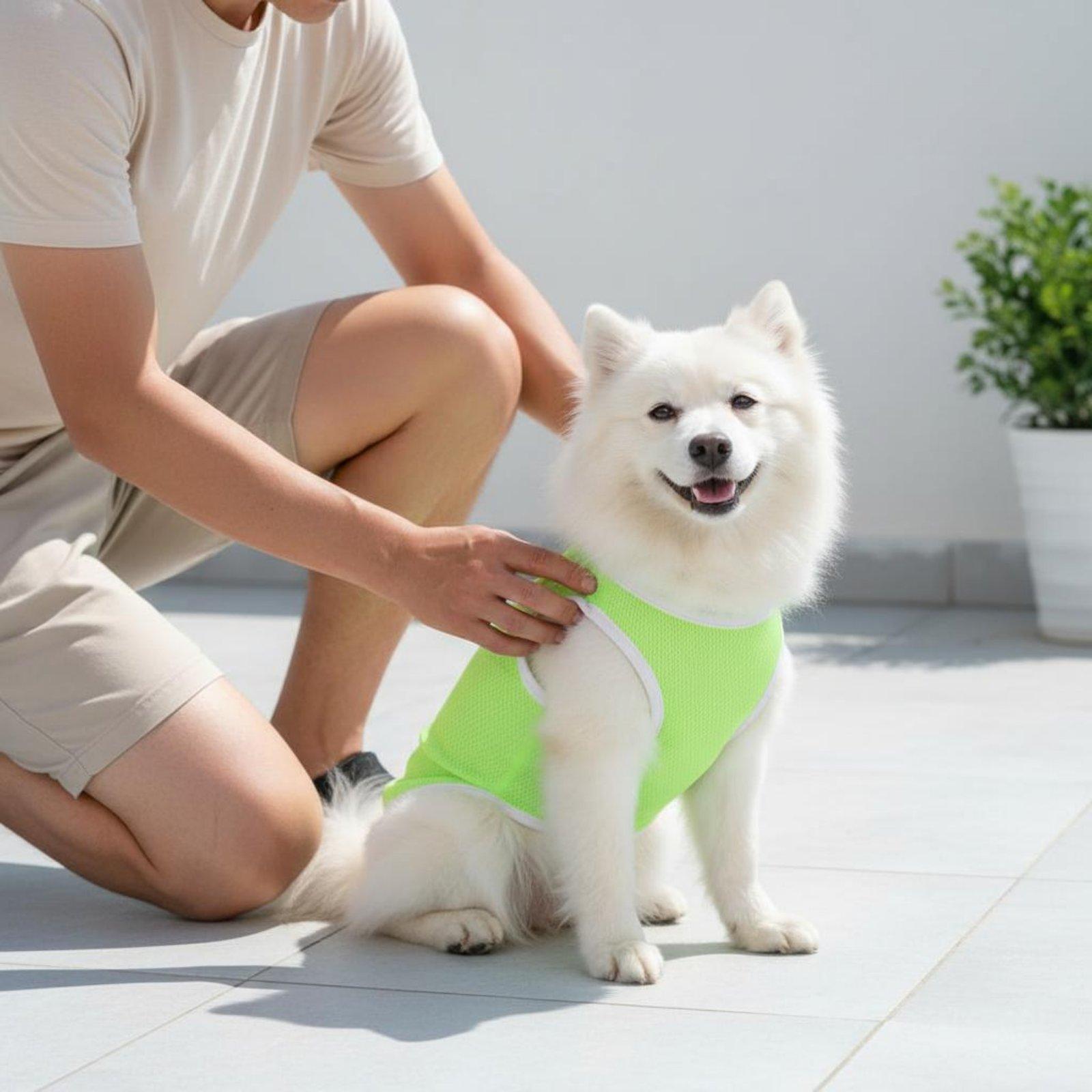 Pet Mesh Vest for Dogs Heat Re - Outdoor Adventure Vest 评论和价格