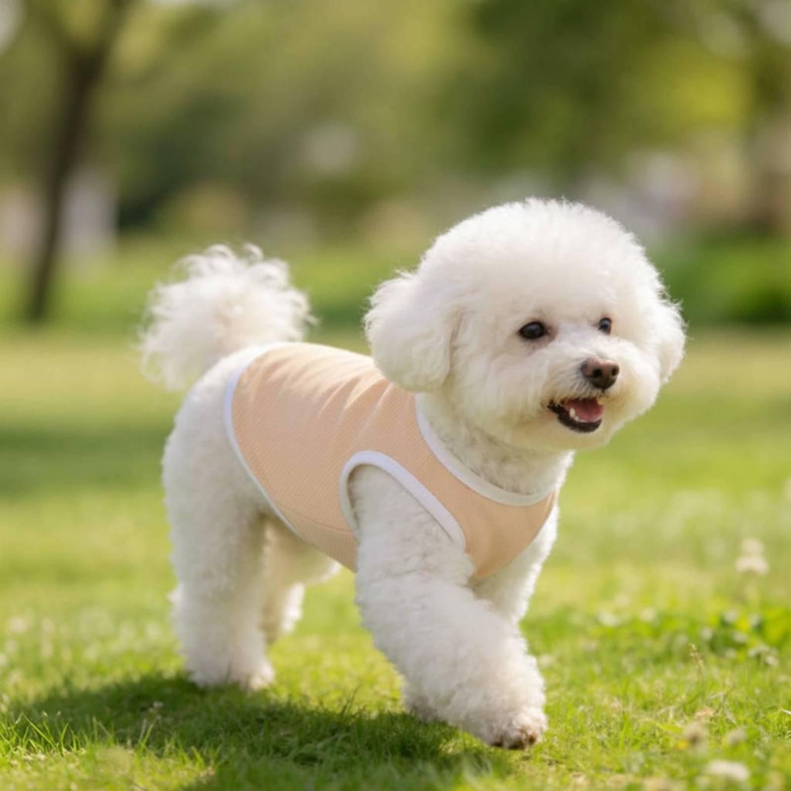 Pet Mesh Vest for Dogs Heat Re - Outdoor Adventure Vest 评论和价格